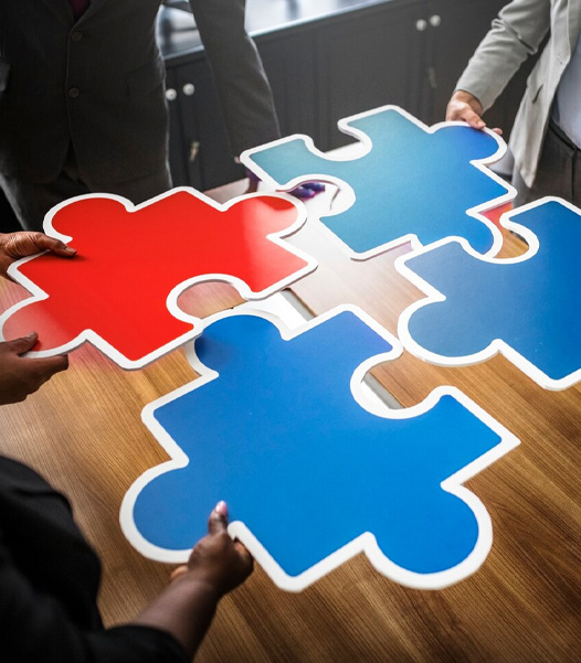 Systems Integration & API Engineering connecting third-party platforms to internal systems