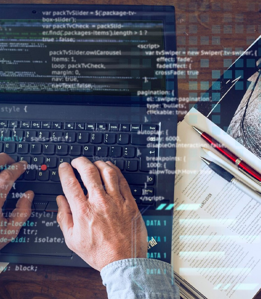 Custom Plugin Development & Integration extending platform functionality without core system rewrites